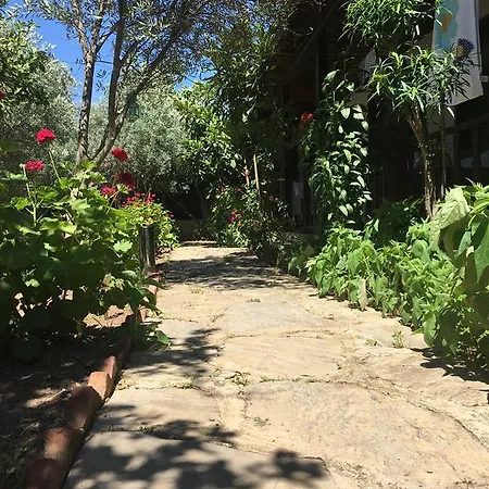 Umut & Beach Selimiye Pensjonat
