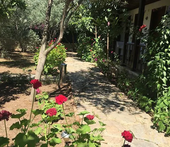 Umut & Beach Selimiye Guest house *